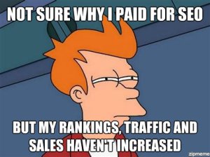 I',m not sure why I paid for SEO, but my rankings, traffic and sales haven't increased'.